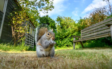 Magazine CYL article Exploring wildlife photography at home with Nikon Ambassador & Wildlife photographer Richard Peters